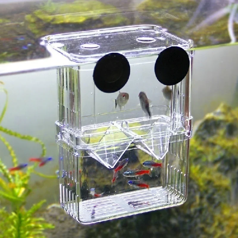 Lab Incubator - 多機能水槽 高透明魚繁殖隔離ボックス 水槽用繁殖器 ダブルグッピー孵化インキュベーター
