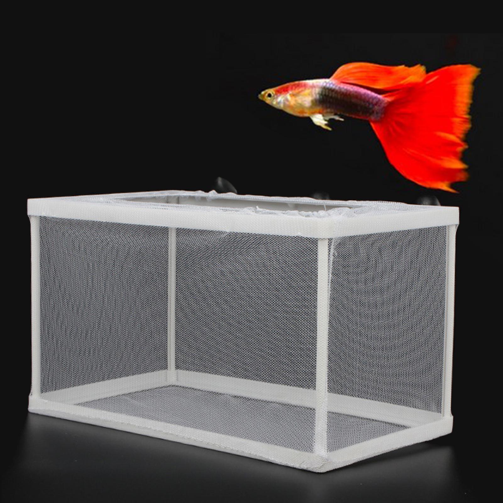 魚ブリーダーボックス分離幼虫産卵インキュベーター魚孵化メッシ - Lab Incubator のレビューと価格