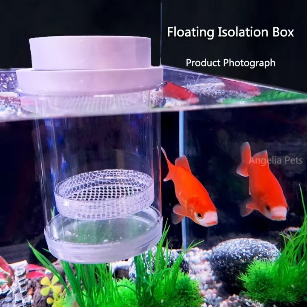 プラスチックフローティング魚飼育隔離ボックス水族館ブリーダー - Lab Incubator のレビューと価格