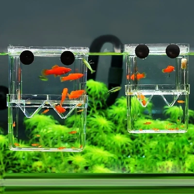 多機能水槽 高透明魚繁殖隔離ボックス 水槽用繁殖器 ダブルグ - Lab Incubator のレビューと価格