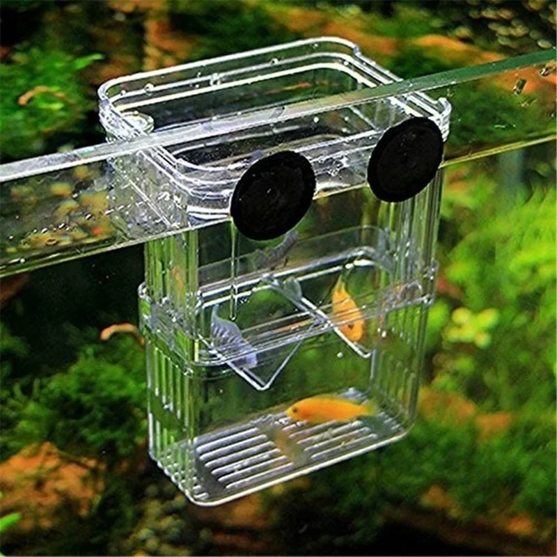 多機能水槽 高透明魚繁殖隔離ボックス 水槽用繁殖器 ダブルグ - Lab Incubator のレビューと価格