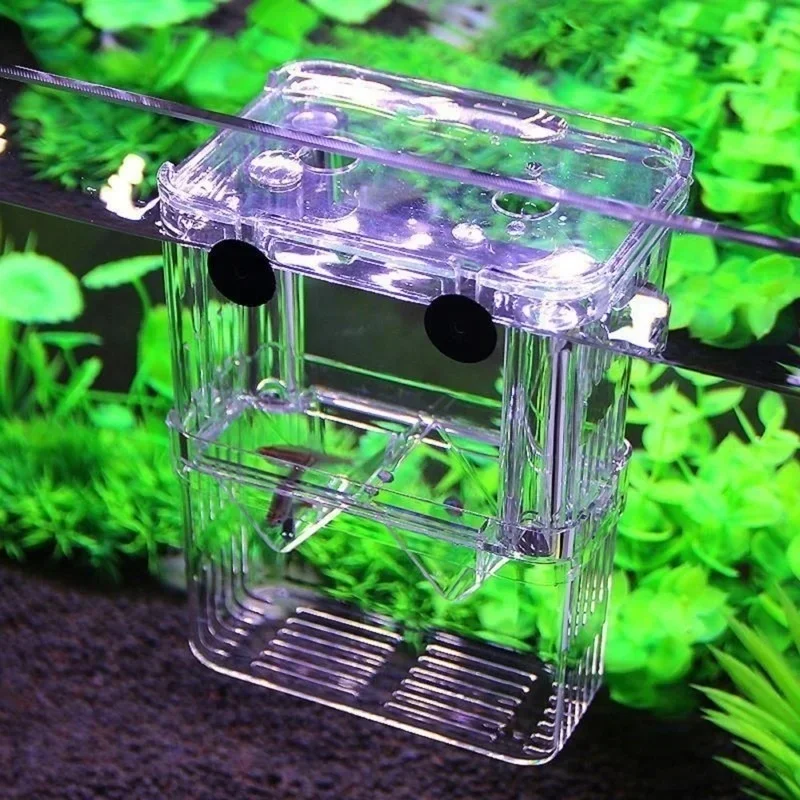 多機能水槽 高透明魚繁殖隔離ボックス 水槽用繁殖器 ダブルグ - Lab Incubator のレビューと価格
